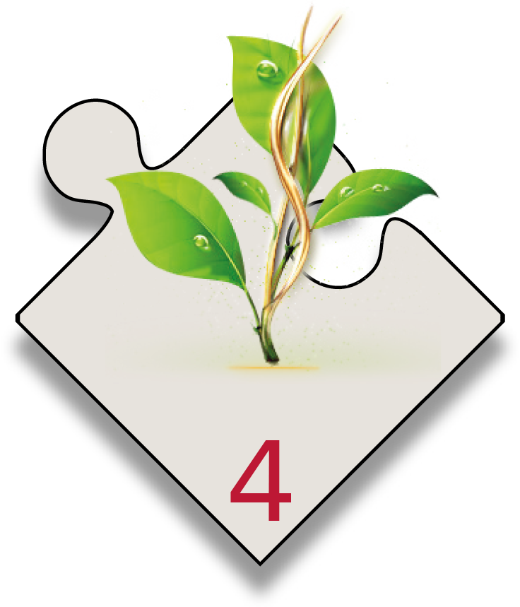 Жизнь должна быть разнообразной! Обязательно нужно пробовать новое, ведь только исследуя, человек может развиваться.